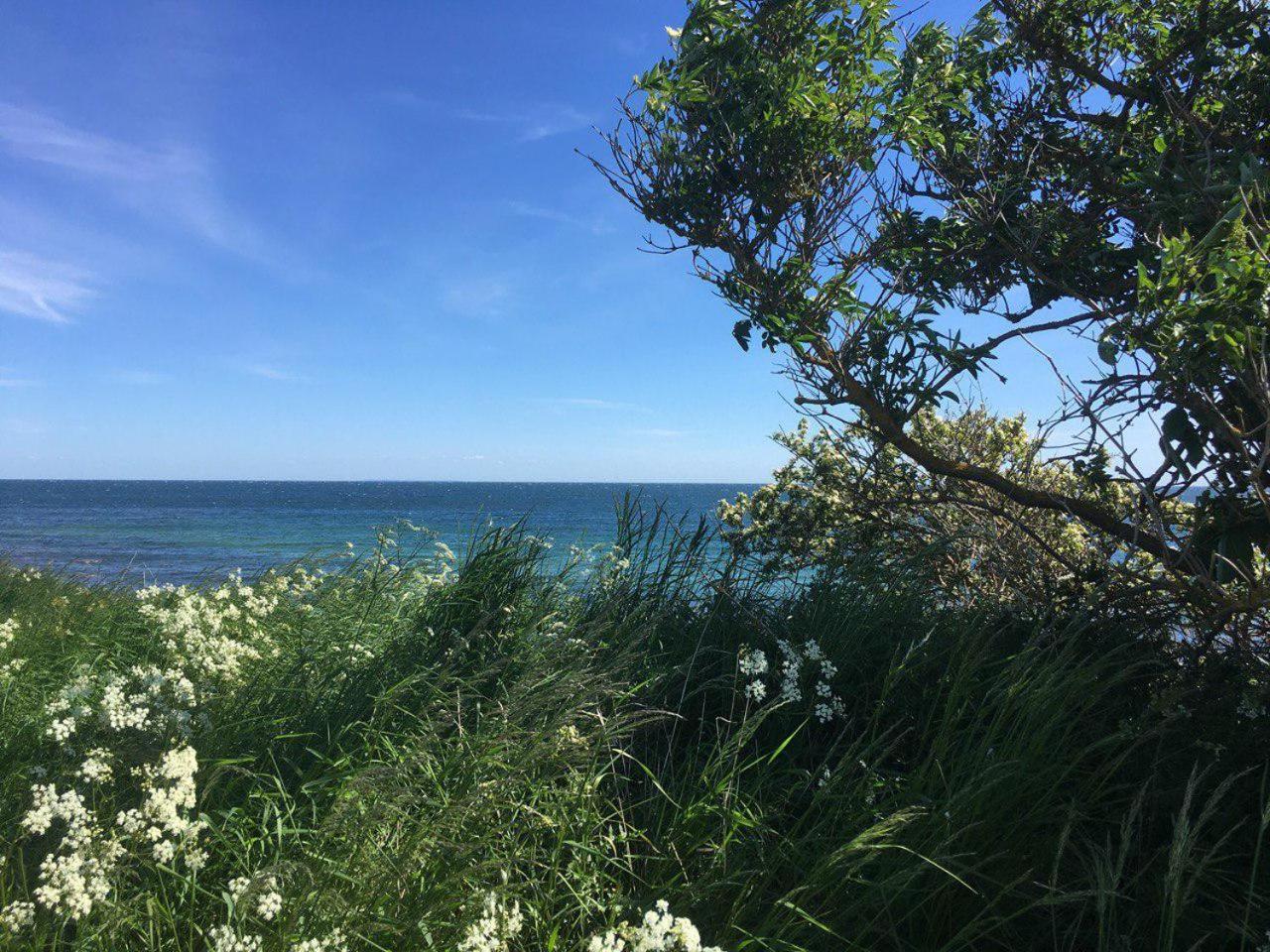 Traumhaftes Strand-Apartment Mit Meerblick Staberdorf Esterno foto